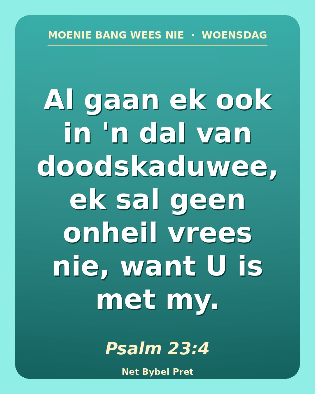Woensdag — "Moenie bang wees nie"